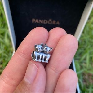 Authentic PANDORA Purrfect Together Charm